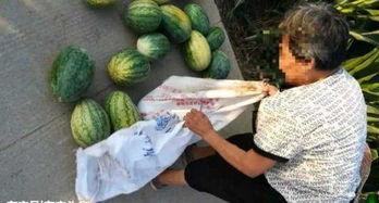 金华最新吃瓜事件爆料,揭秘神秘幕后真相 第3张 金华最新吃瓜事件爆料,揭秘神秘幕后真相 第3张